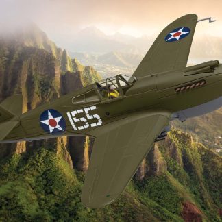 Aa28105 1 Curtiss P 40b Scenic