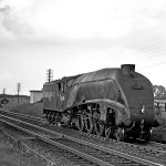 Ras Lner W1 60700 Co 15236 Scaled